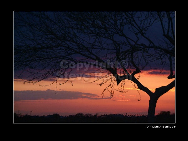 images/watermarked/Witness/Witness 004 (Sides 7-8).jpg